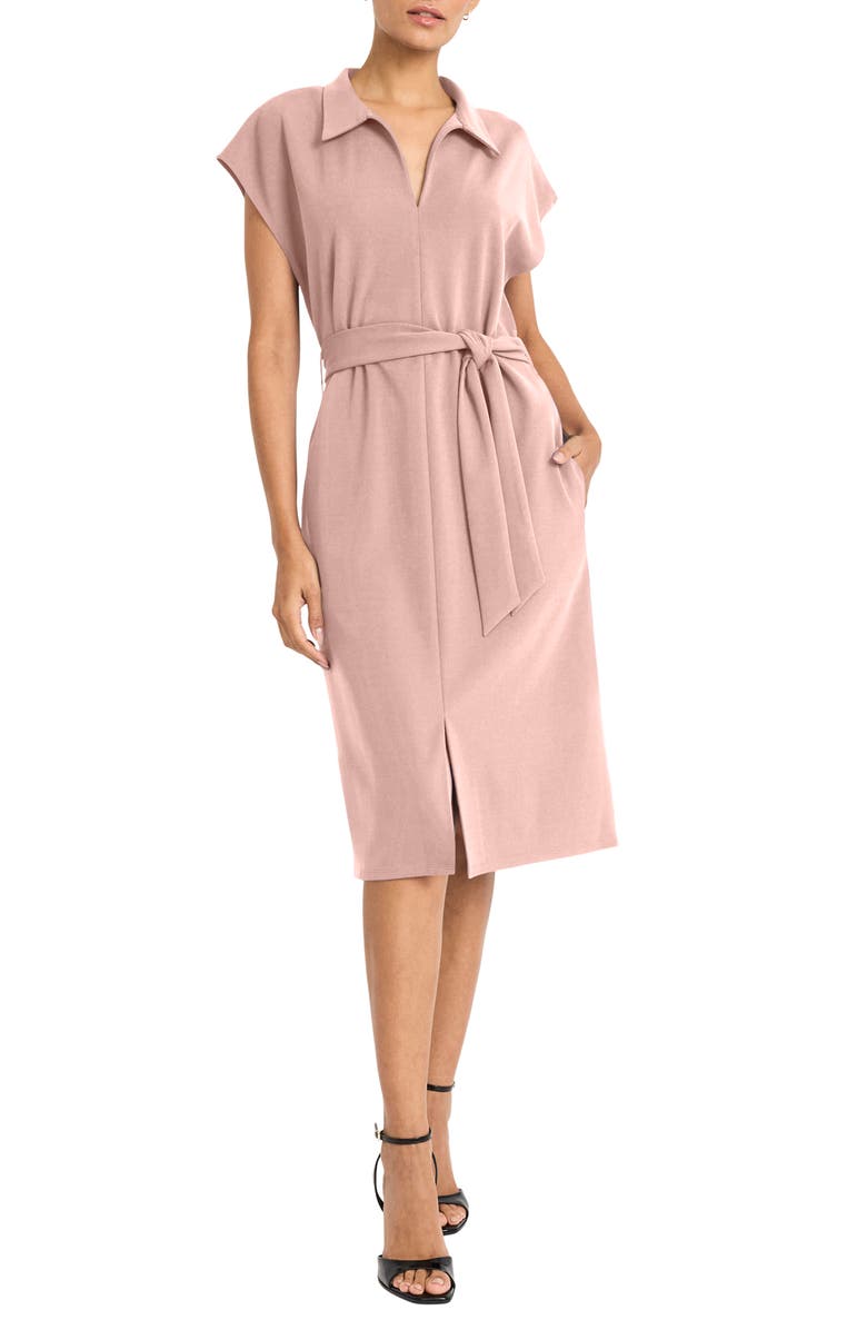 Maggy London Collared Midi A-Line Dress, Main, color, Shell Pink