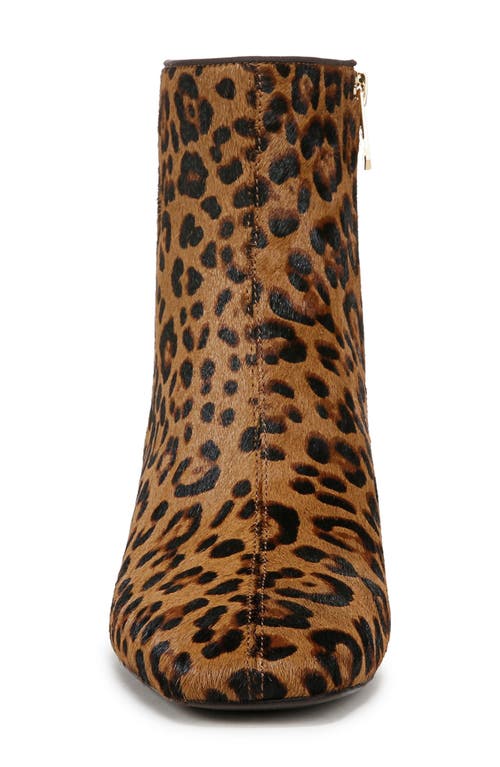 Sam Edelman Paige Genuine Calf Hair Bootie In Granada Tan Calf Hair
