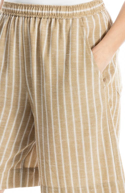 Max Studio Pinstripe Shorts In Neutral