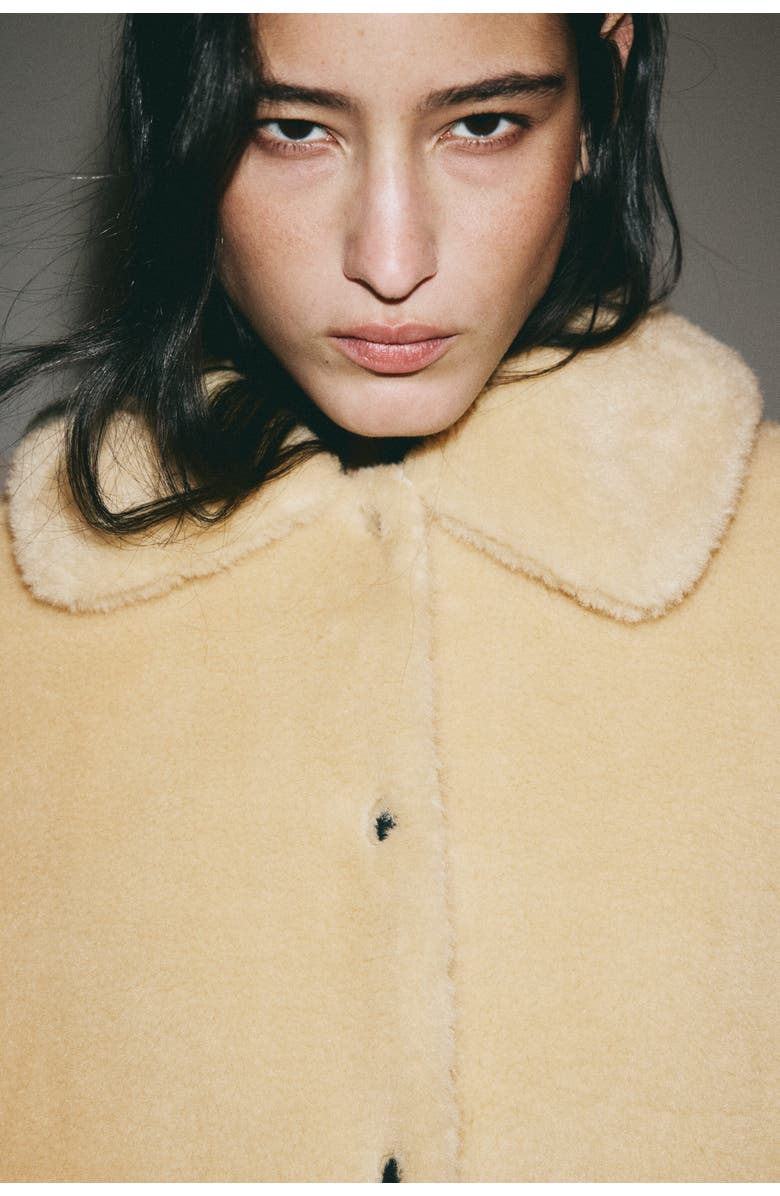 H&M Pile Jacket, Alternate, color, Beige