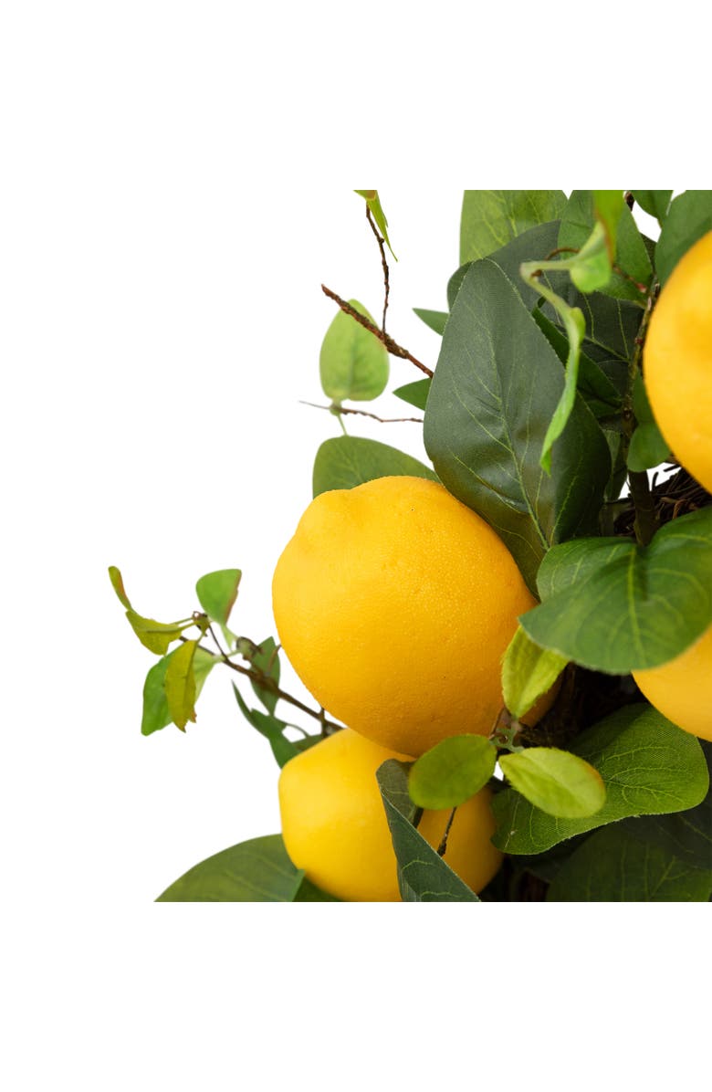 Northlight Lemons and Assorted Foliage Spring Wreath - 20" - Yellow, Alternate, color, Yellow