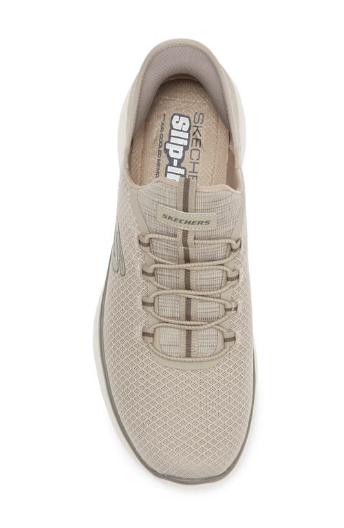 Skechers Summits Knit Sneaker In Taupe