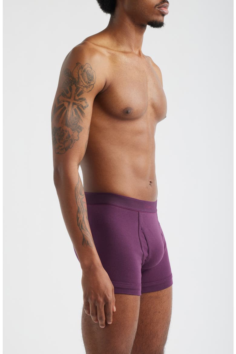 Cotton Stretch Jersey Boxer Briefs, Alternate, color, PRUNE