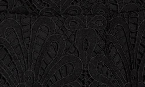Nsr Lace Long Sleeve Dress