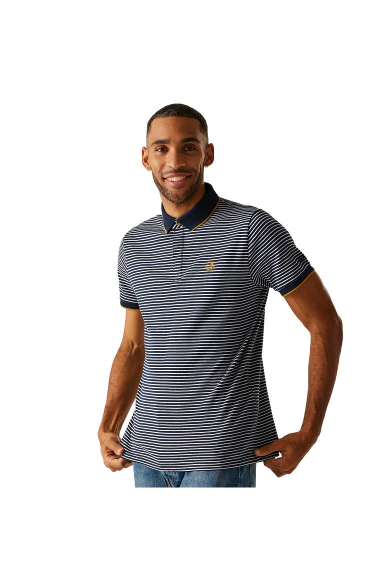 Tiver Striped Polo Shirt, Main, color, Navy and Stone White