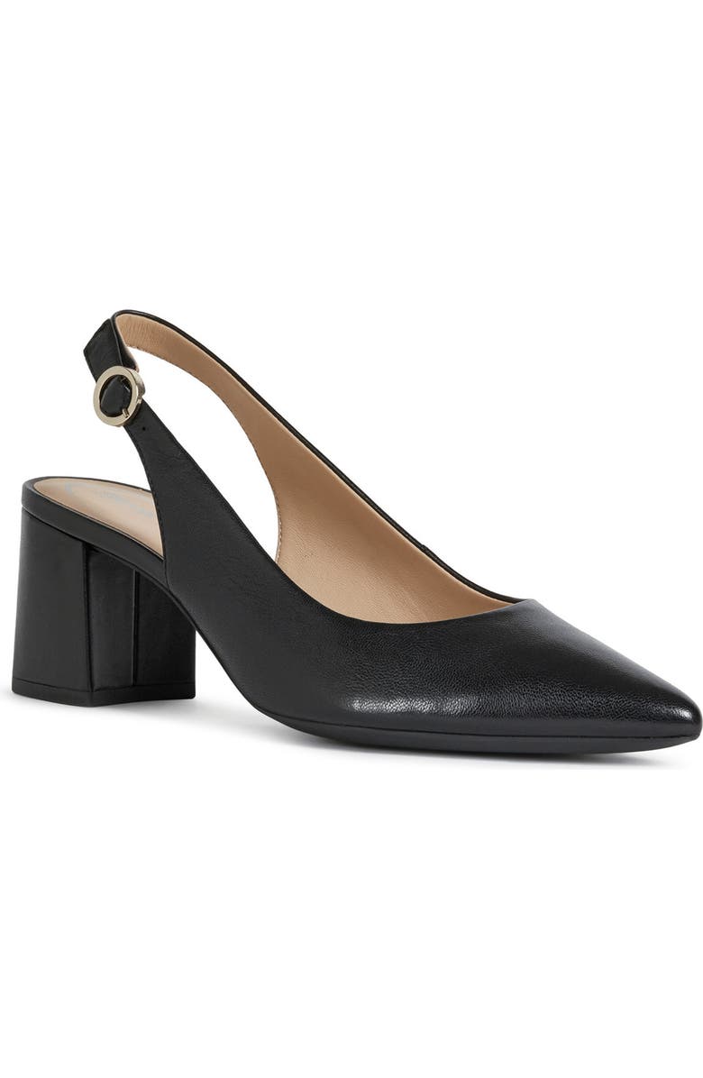 Geox Bigliana Pointed Toe Slingback Pump, Main, color,