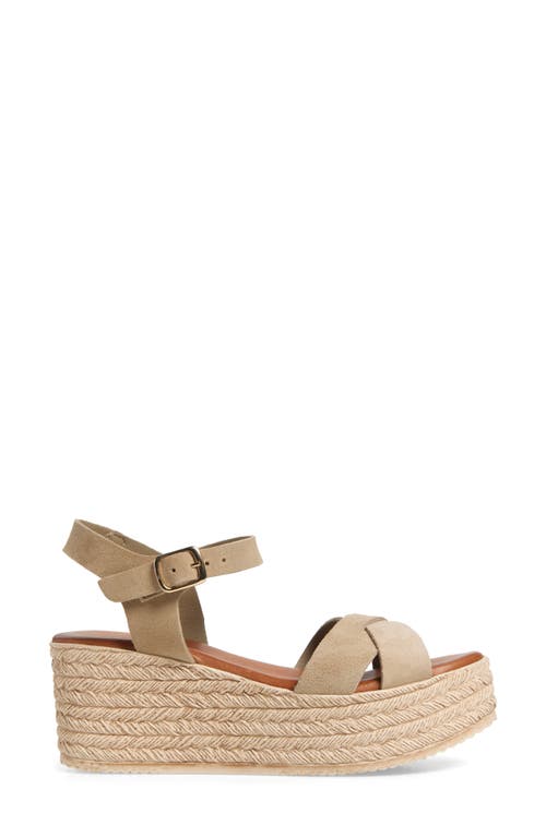 Cordani Bazil Espadrille Ankle Strap Platform Wedge Sandal In Arena Suede