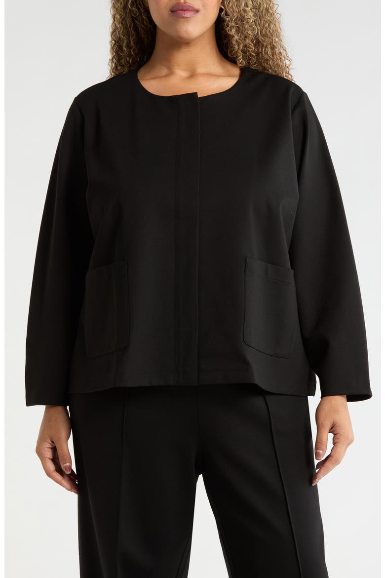 Collarless Zip Jacket, Alternate, color, BLACK