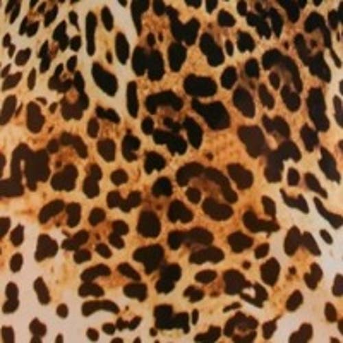 Fashion-szn Curve Curve Leopard Print Ring Detail Kaftan In Brown