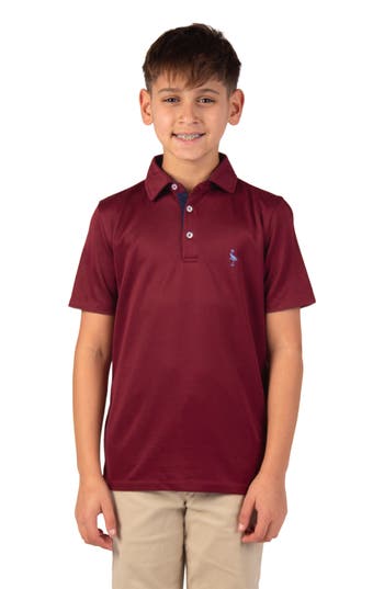 Tailorbyrd Kids' Solid Knit Polo In Burgundy