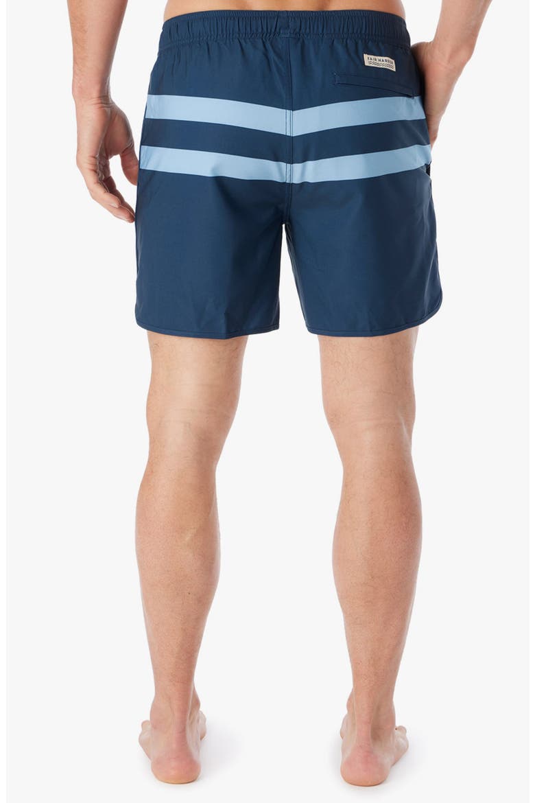 The Anchor Swim Trunks, Alternate, color, LIGHT BLUE STRIPE