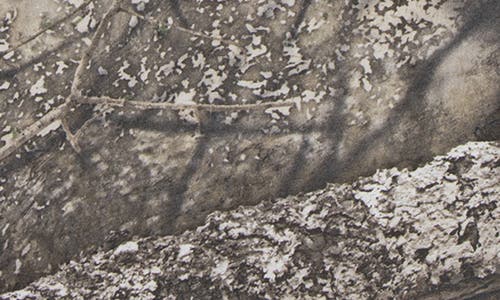 Jordan Kids' X Realtree Mj Mvp Distressed T-shirt In Gray