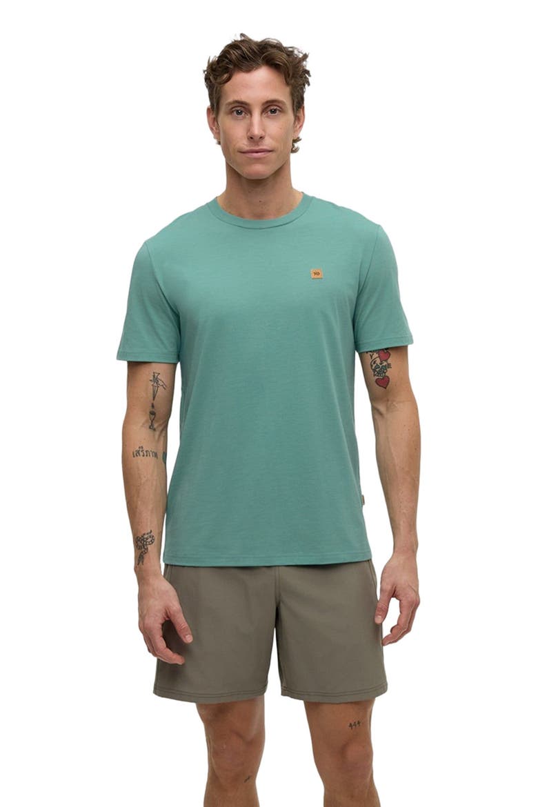 Baker T-Shirt, Alternate, color, Turquoise Sky Heather