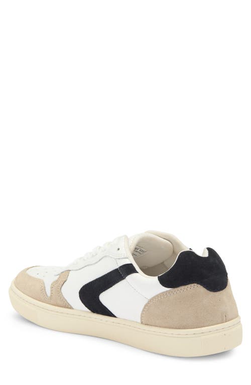 STEVE MADDEN STEVE MADDEN LOW TOP SNEAKER