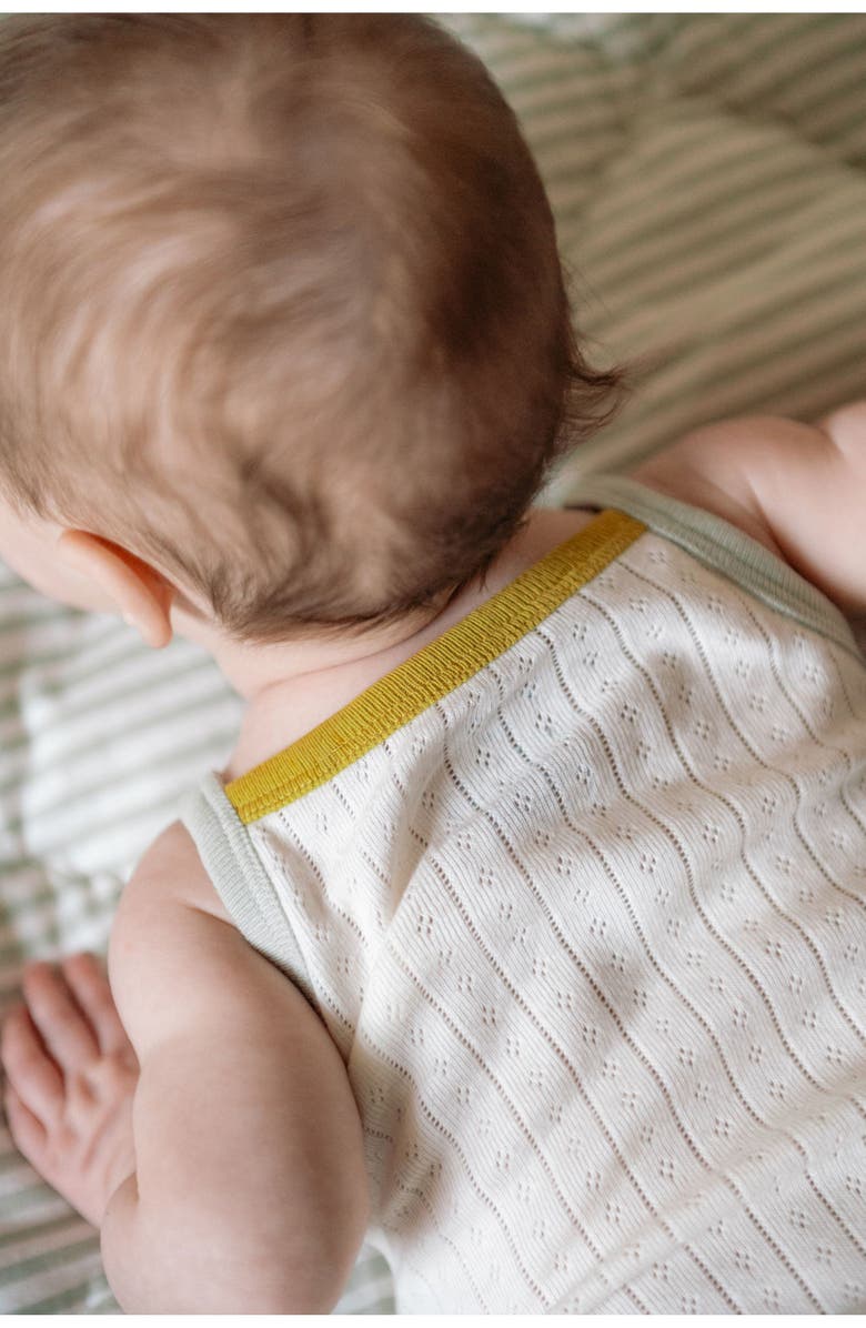 Pehr Pointelle Bodysuit, Alternate, color, Rainbow