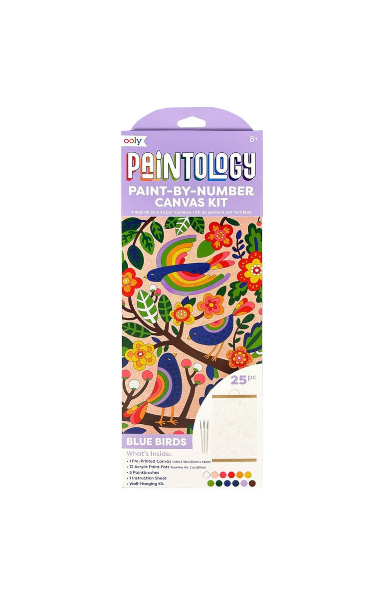 OOLY Paintology Paint By Number Birds Canvas Kit, Main, color, Multicolored