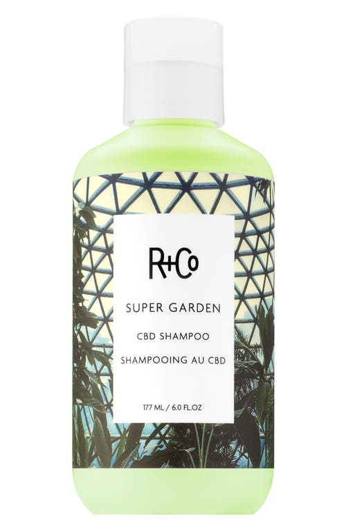 R+Co Super Garden CBD Shampoo