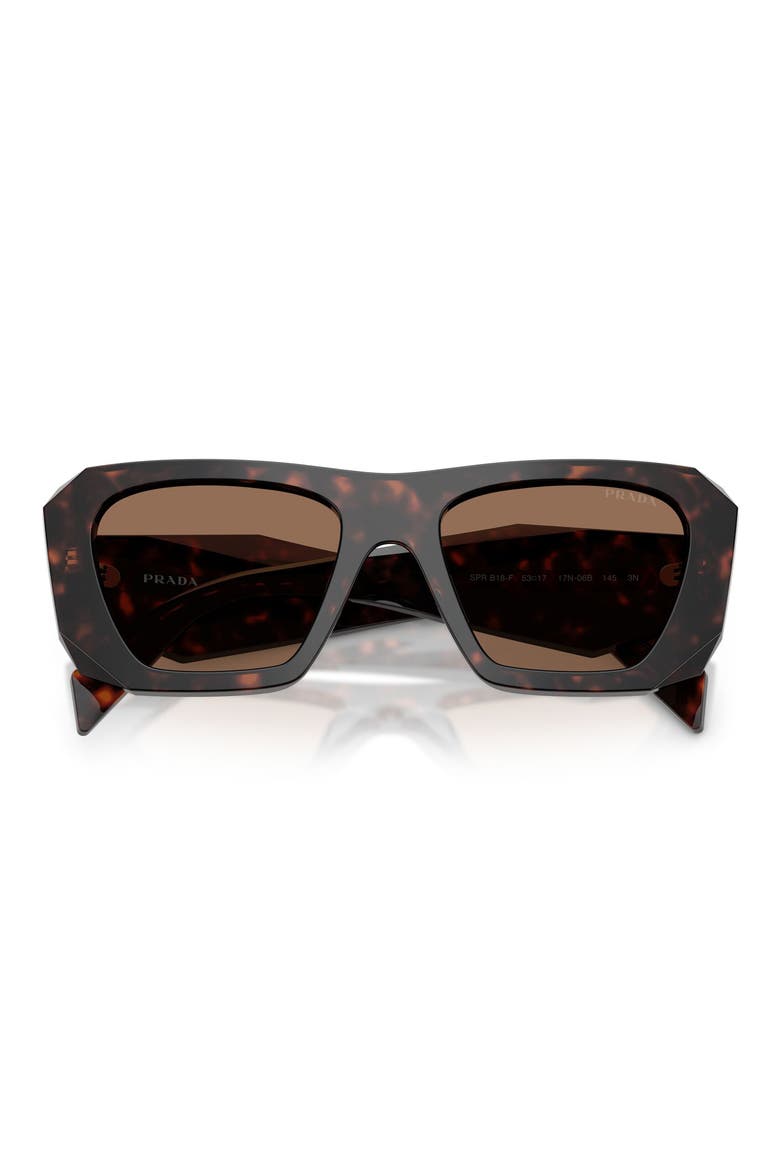 53mm Square Sunglasses, Alternate, color, ROOT TORTOISE / DARK BROWN