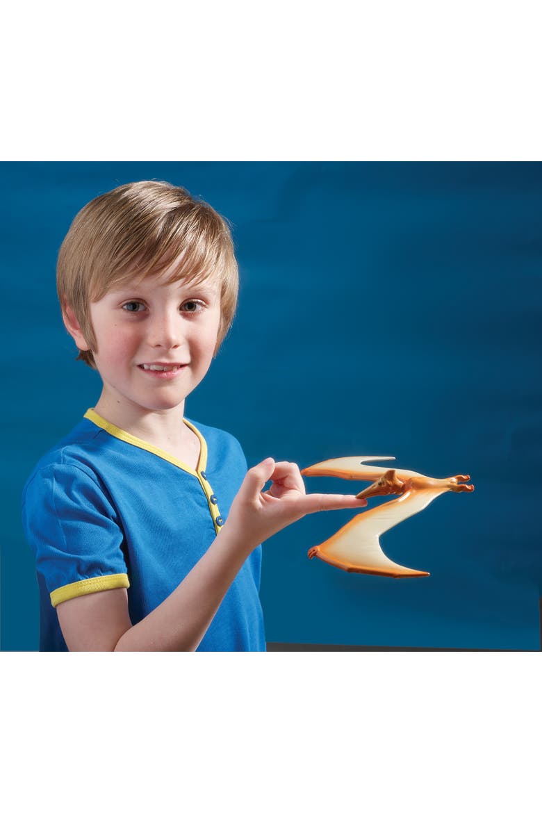 Natural History Museum The Amazing Balancing Pteranodon Gravity Defying, Alternate, color, Multicolored
