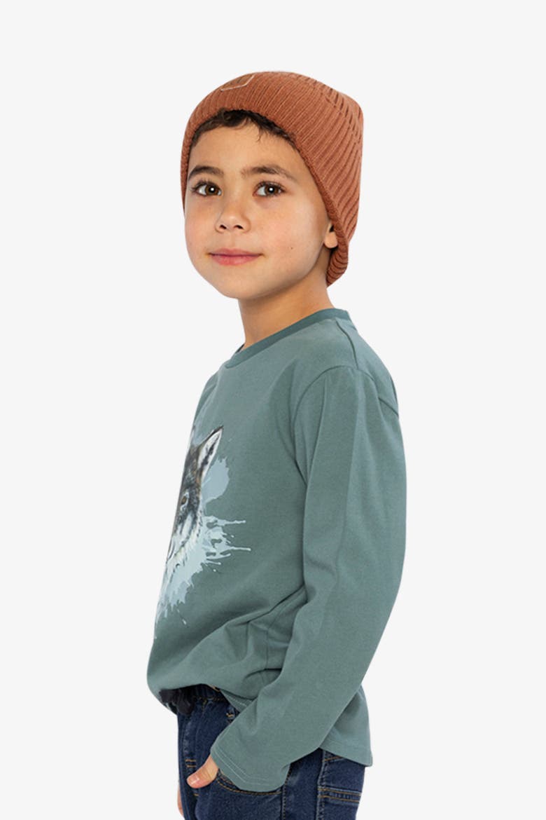 Cotton Crew Neck Wolf Graphic Long Sleeve T-Shirt, Alternate, color, Turquoise