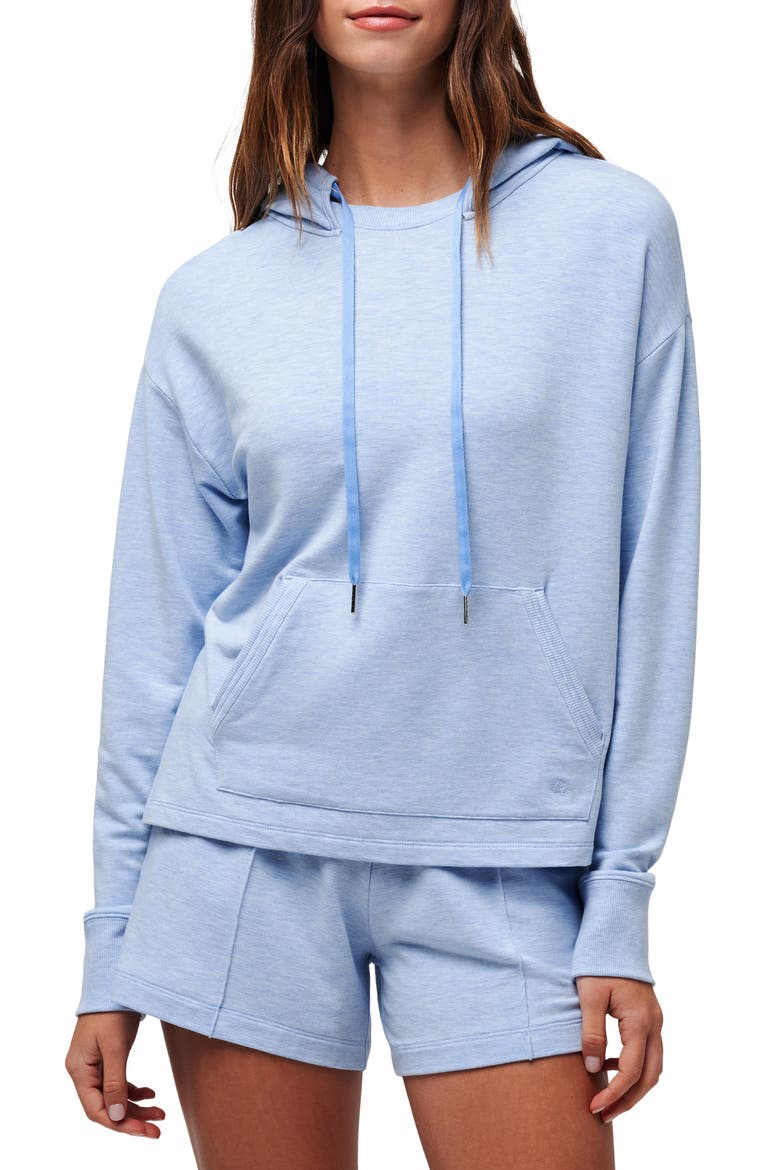 Hidden Gems Hoodie, Main, color, HEATHER AZURINE