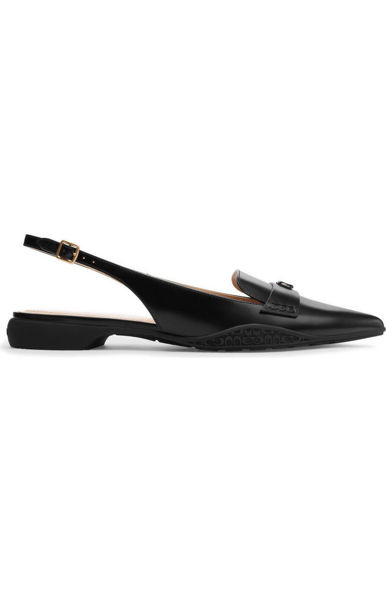 COACH Carrie Pointed Toe Slingback Flat, Alternate, color,