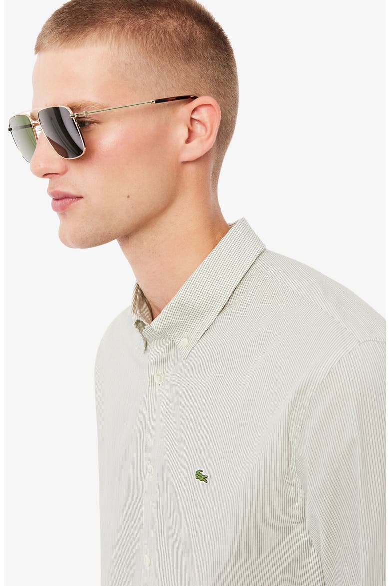 Stripe Cotton Button-Down Shirt, Alternate, color, LAPLAND/ SINOPLE
