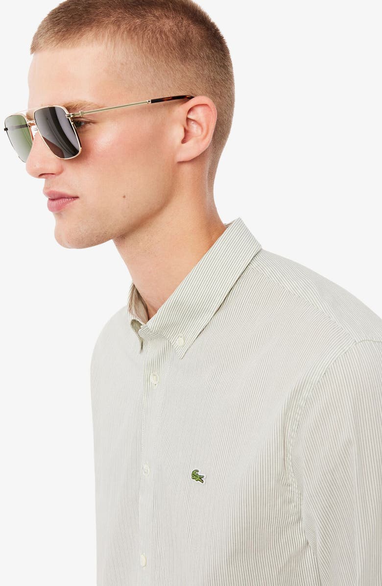 Lacoste Stripe Cotton Button-Down Shirt, Alternate, color, Lapland/ Sinople