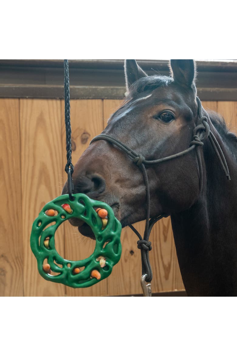 Luna Ring, Horse Equine, 9 Inchs Green, Rubber Treat Puzzle Toy, Alternate, color, Green
