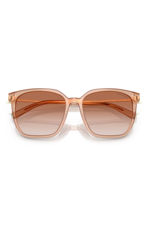 Tiffany & Co . 56mm Gradient Square Sunglasses In Brown