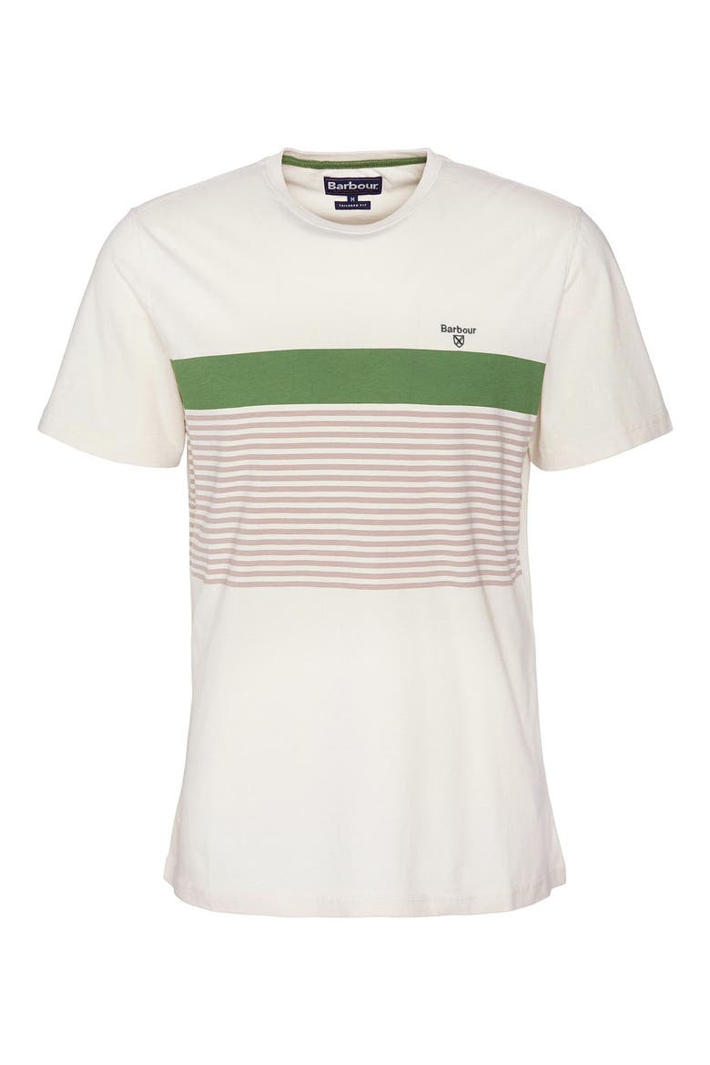 Braeside Stripe T-Shirt, Alternate, color, RAINY DAY