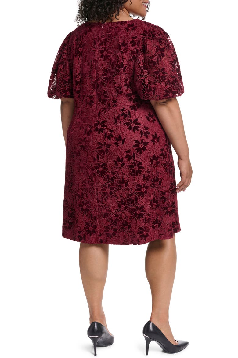 Lace & Velvet A-Line Dress, Alternate, color, WINE