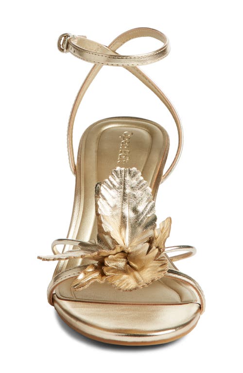 Open Edit Zuri Ankle Strap Sandal In Gold Light Metallic