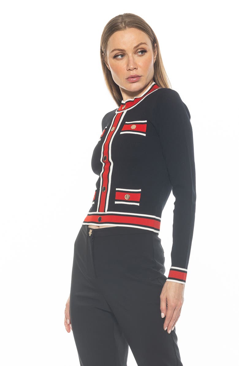 Alexia Admor Kiley Stripe Crop Sweater, Alternate, color, Black Multi
