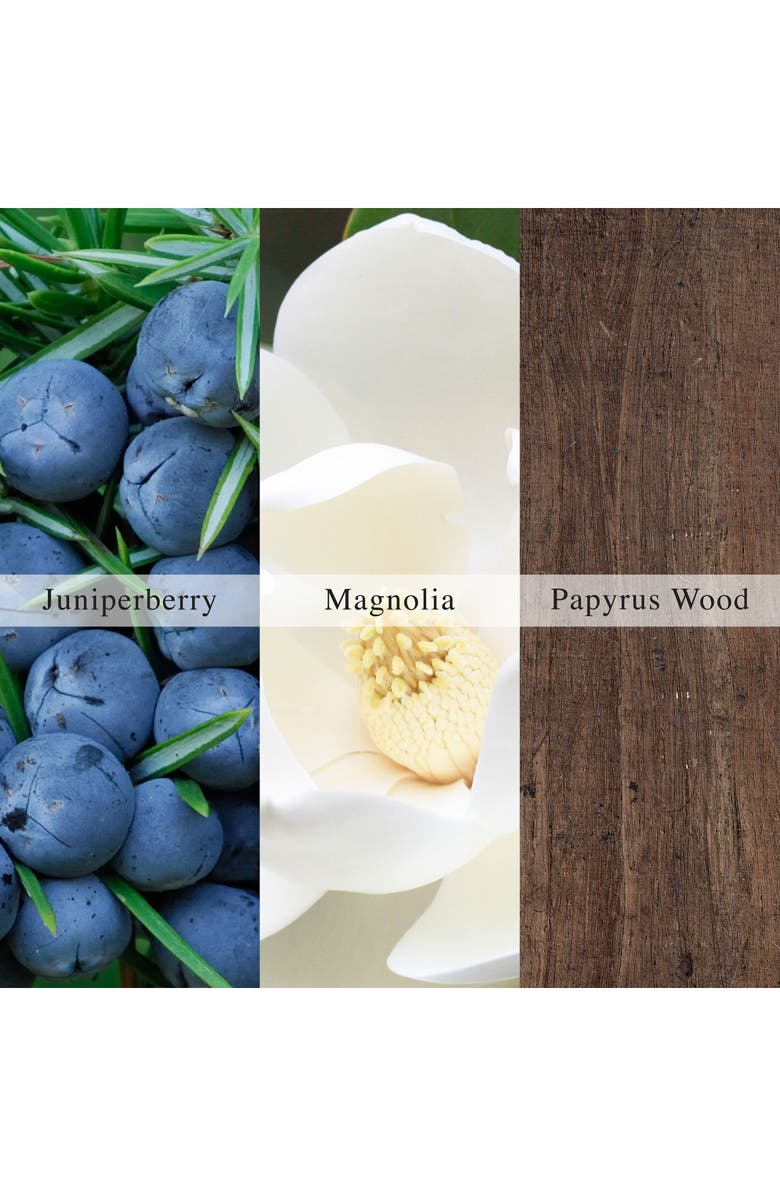 AllSaints Metal Wave Eau de Parfum, Alternate, color, 