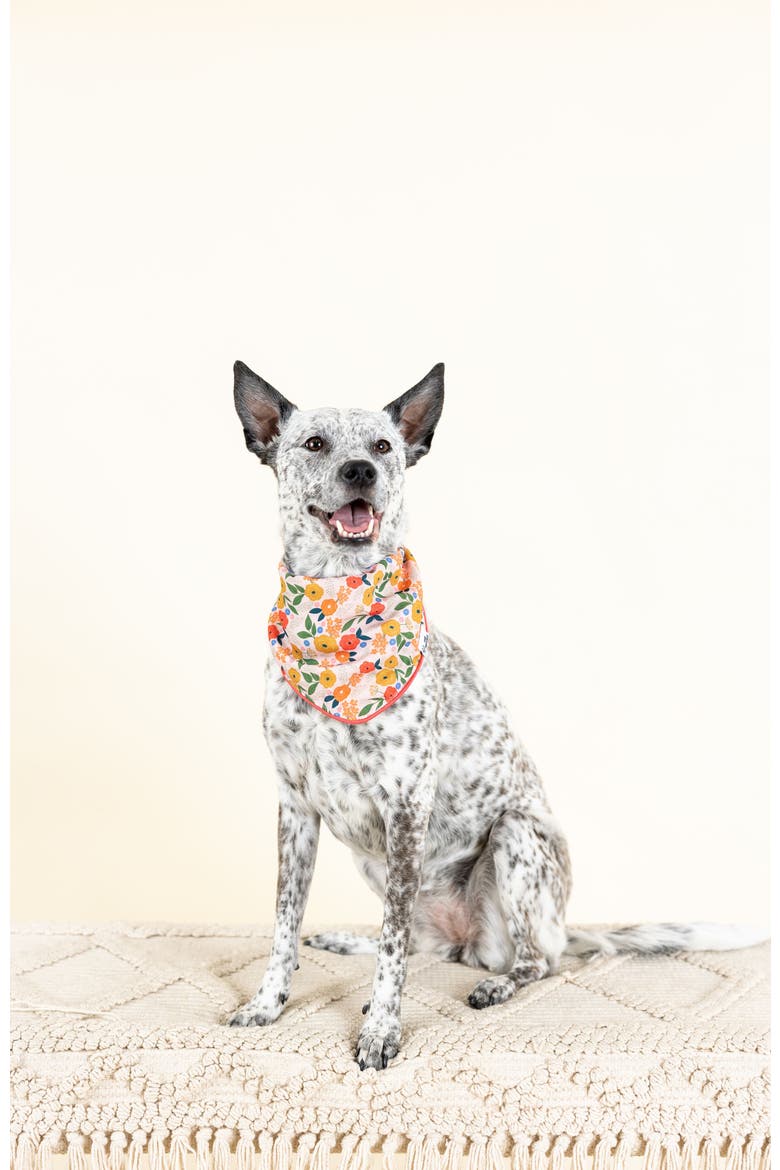 Penelope Pet Bandana, Alternate, color, Penelope