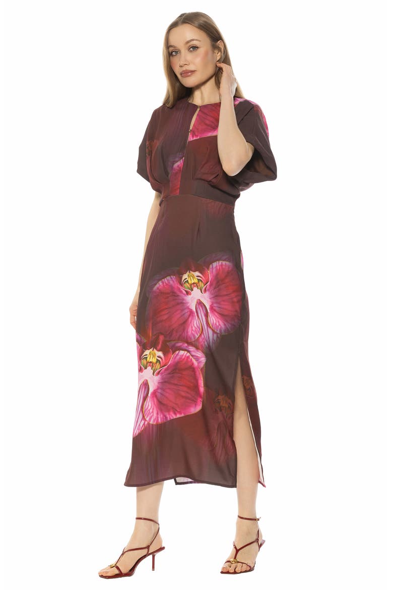 Sylvi Draped Sleeve Midi Dress, Alternate, color, BOLD FLORAL