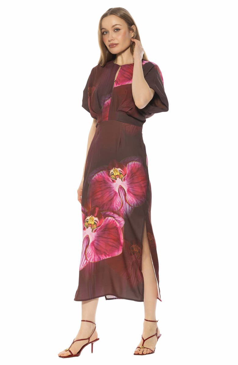 Alexia Admor Sylvi Draped Sleeve Midi Dress, Alternate, color, Bold Floral