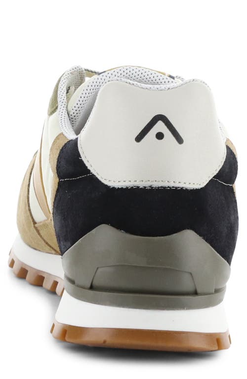 AMBITIOUS AMBITIOUS 10469B COLORBLOCK SNEAKER 