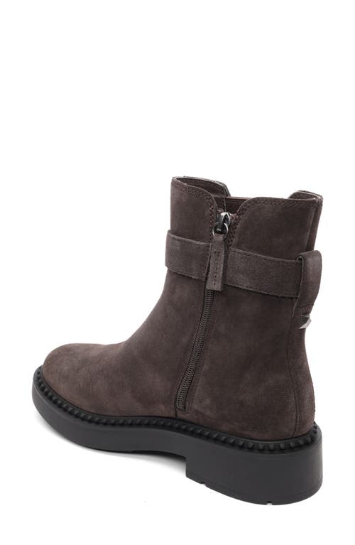 Ash Margot Moto Bootie In Brown