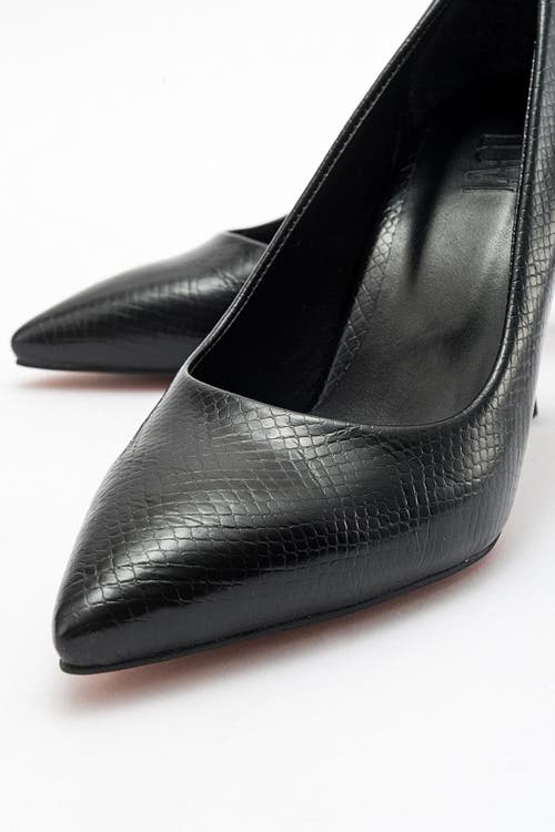 Prologue Shoes Forest Pointed Toe Pump