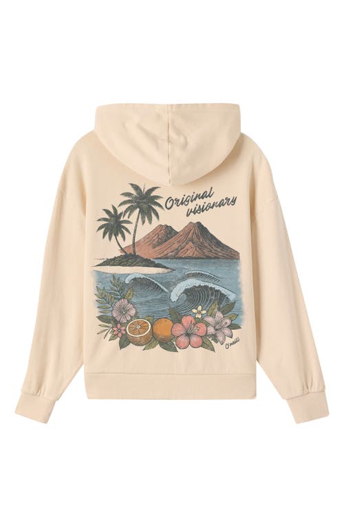 O'neill Kids' Asher Fleece Graphic Hoodie In Neutral