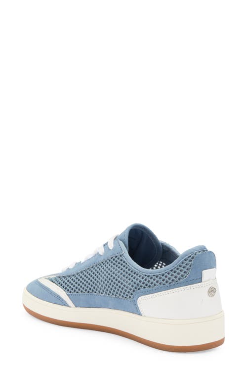 ANNE KLEIN ANNE KLEIN ADRIELA LOW TOP SNEAKER