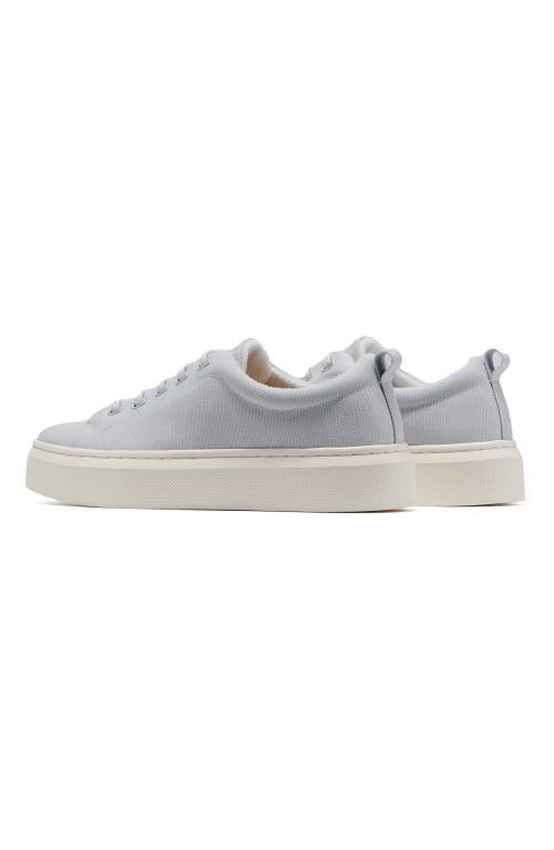 Abeo Jumpstreet Bungee Sneaker In Light Blue Canvas - Regular