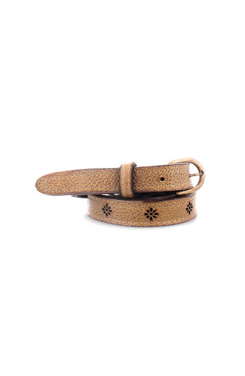 Bed Stu Monae Ii Belt In Brown