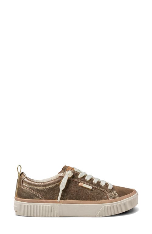 Reef Lay Day Dawn Sneaker In Champagne Suede