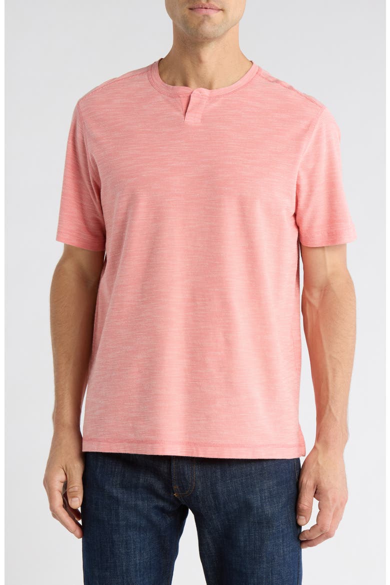 Havana Notch Neck Cotton T-Shirt, Main, color, PURE SALMON