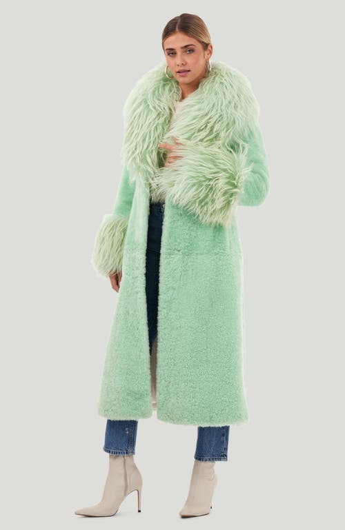 Gorski Cashmere Goat Coat In Green