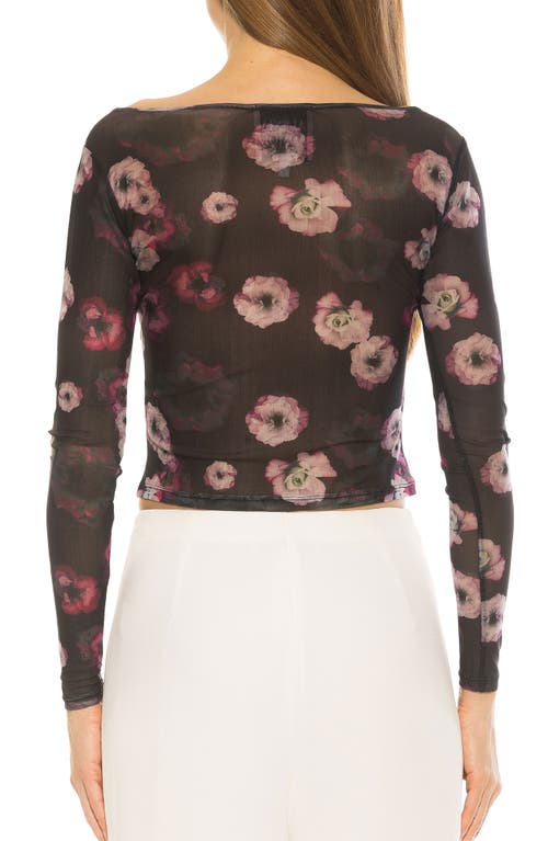 Alexia Admor Opal Boatneck Sheer Mesh Top In Black Multi