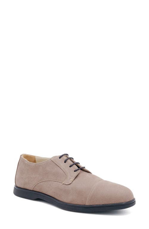 Amalfi by Rangoni Reno Cap Toe Derby in Smog Long Beach 